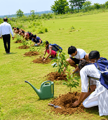 Roots for the Future